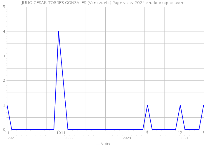 JULIO CESAR TORRES GONZALES (Venezuela) Page visits 2024 