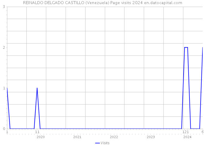 REINALDO DELGADO CASTILLO (Venezuela) Page visits 2024 