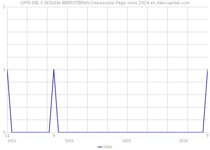 GIPSI DEL C MOLINA BERROTERAN (Venezuela) Page visits 2024 