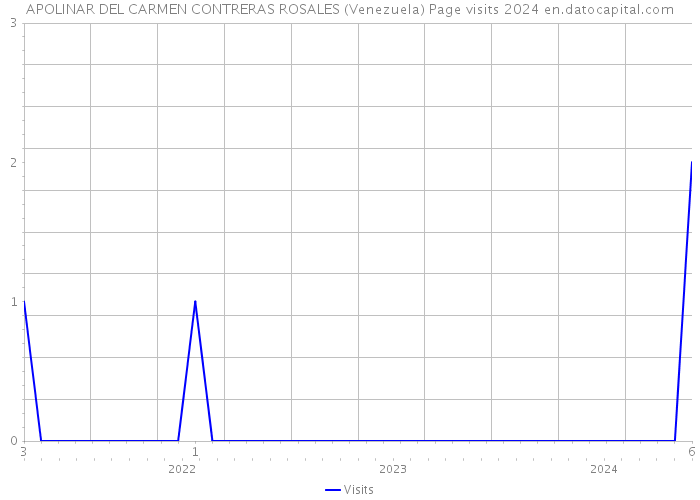 APOLINAR DEL CARMEN CONTRERAS ROSALES (Venezuela) Page visits 2024 
