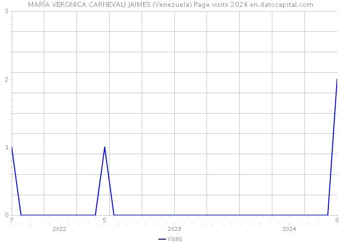 MARÍA VERONICA CARNEVALI JAIMES (Venezuela) Page visits 2024 