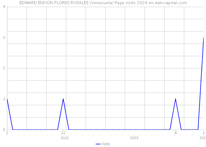 EDWARD ENIXON FLORES ROSALES (Venezuela) Page visits 2024 