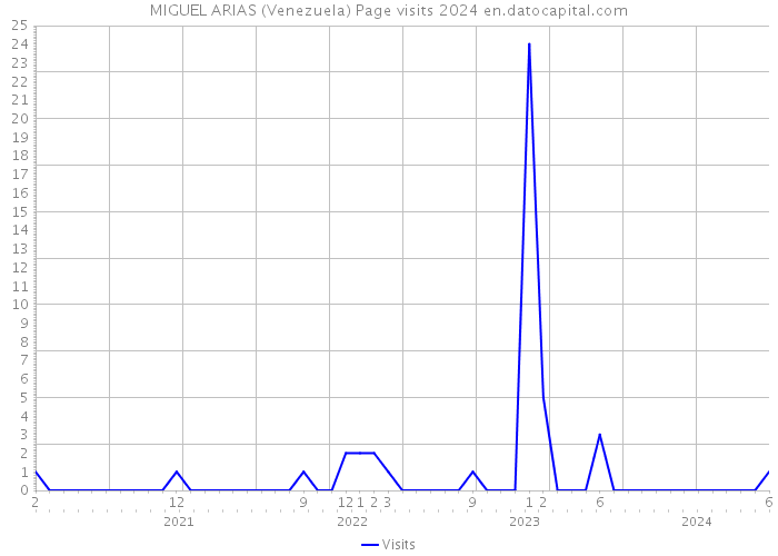 MIGUEL ARIAS (Venezuela) Page visits 2024 