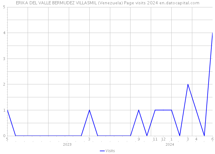 ERIKA DEL VALLE BERMUDEZ VILLASMIL (Venezuela) Page visits 2024 