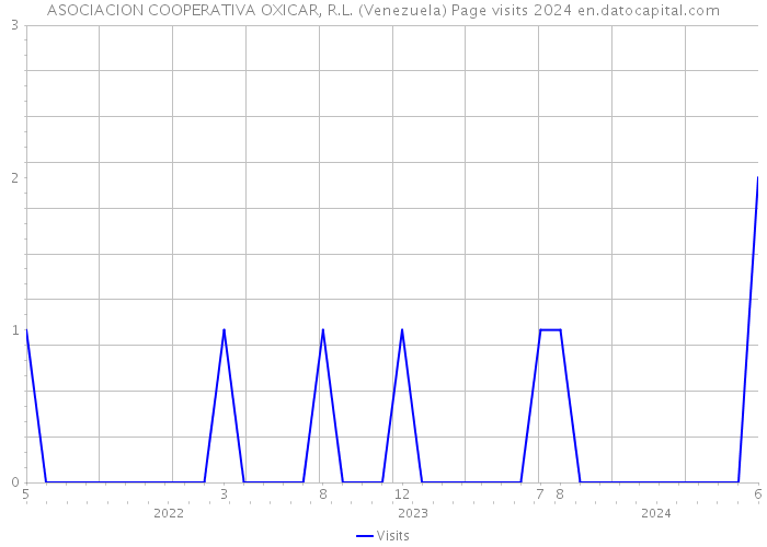 ASOCIACION COOPERATIVA OXICAR, R.L. (Venezuela) Page visits 2024 