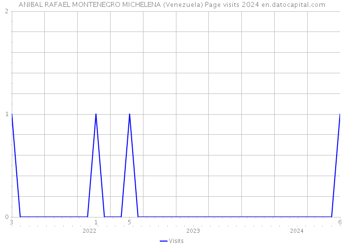 ANIBAL RAFAEL MONTENEGRO MICHELENA (Venezuela) Page visits 2024 
