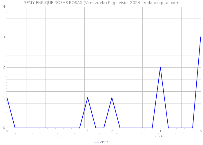 REMY ENRIQUE ROSAS ROSAS (Venezuela) Page visits 2024 