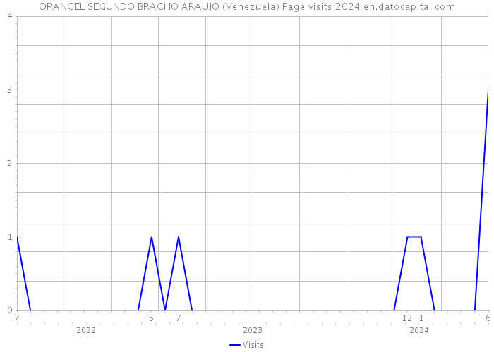 ORANGEL SEGUNDO BRACHO ARAUJO (Venezuela) Page visits 2024 