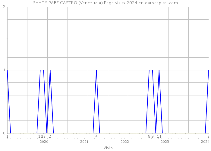 SAADY PAEZ CASTRO (Venezuela) Page visits 2024 