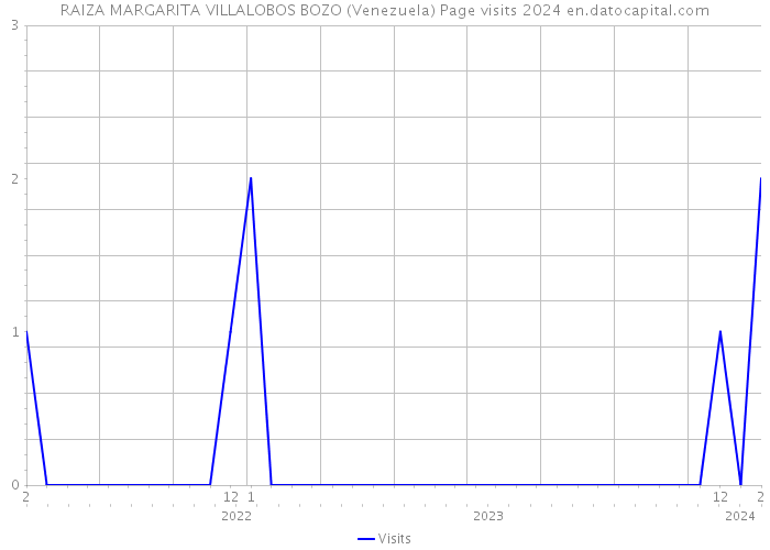 RAIZA MARGARITA VILLALOBOS BOZO (Venezuela) Page visits 2024 