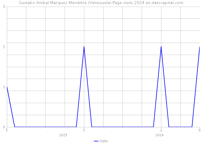 Gustabo Anibal Marquez Mendible (Venezuela) Page visits 2024 