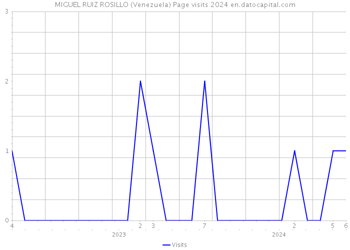 MIGUEL RUIZ ROSILLO (Venezuela) Page visits 2024 