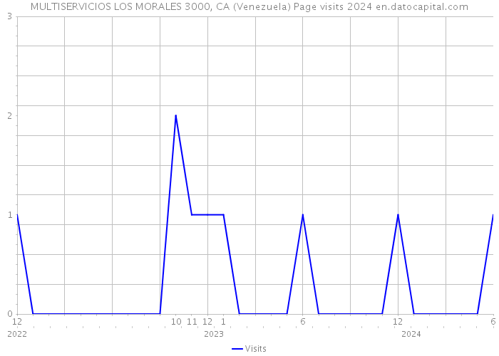 MULTISERVICIOS LOS MORALES 3000, CA (Venezuela) Page visits 2024 
