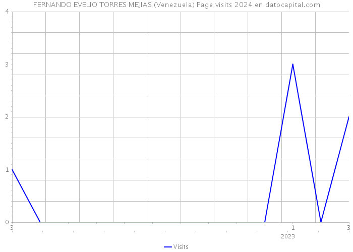 FERNANDO EVELIO TORRES MEJIAS (Venezuela) Page visits 2024 
