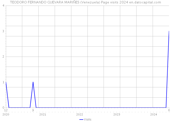 TEODORO FERNANDO GUEVARA MARIÑES (Venezuela) Page visits 2024 