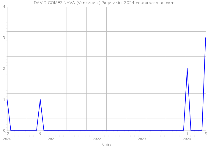 DAVID GOMEZ NAVA (Venezuela) Page visits 2024 