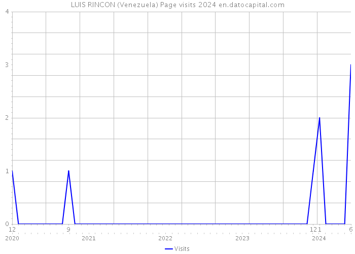 LUIS RINCON (Venezuela) Page visits 2024 