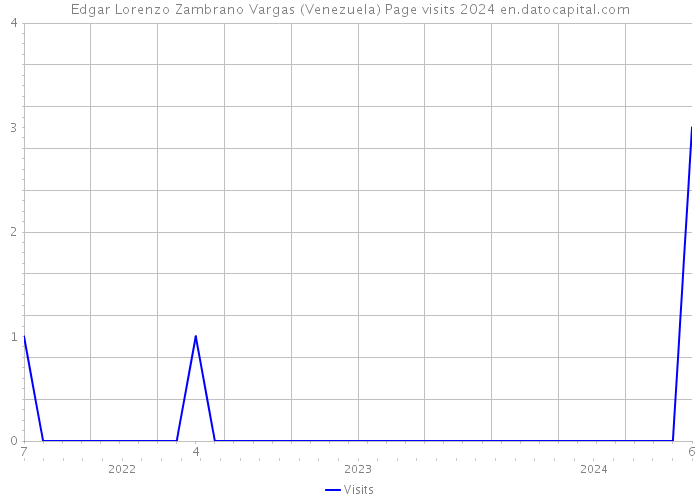 Edgar Lorenzo Zambrano Vargas (Venezuela) Page visits 2024 