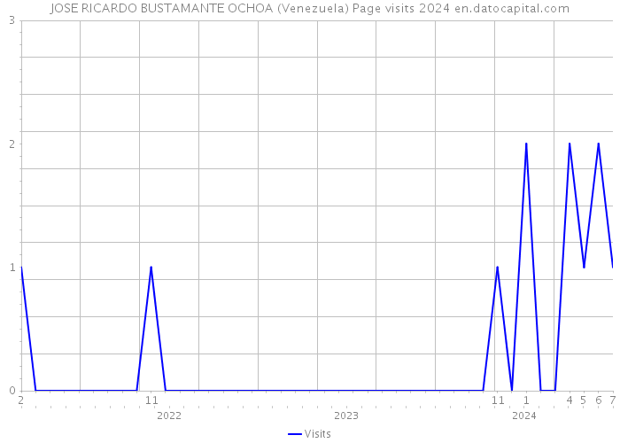 JOSE RICARDO BUSTAMANTE OCHOA (Venezuela) Page visits 2024 