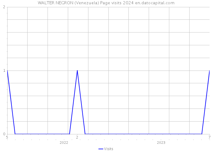WALTER NEGRON (Venezuela) Page visits 2024 