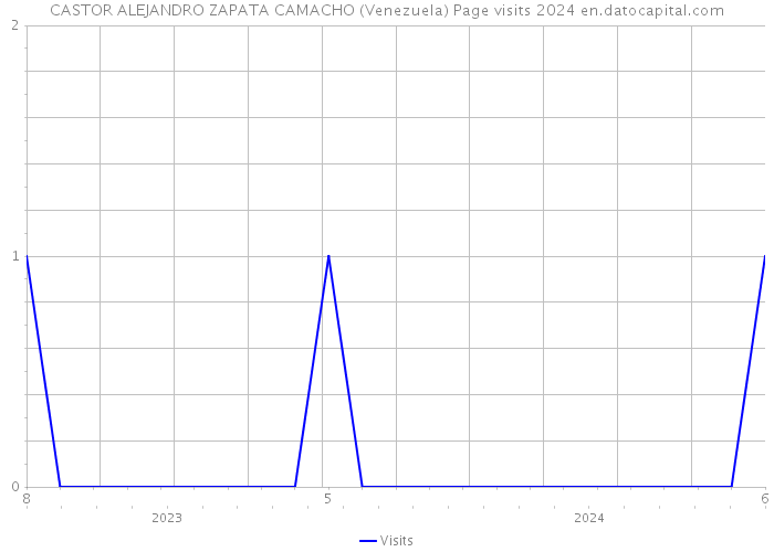CASTOR ALEJANDRO ZAPATA CAMACHO (Venezuela) Page visits 2024 