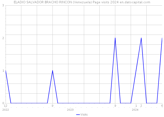 ELADIO SALVADOR BRACHO RINCON (Venezuela) Page visits 2024 