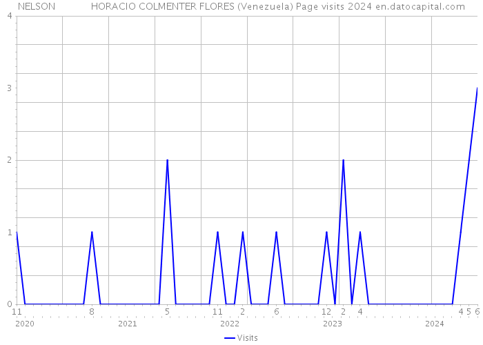 NELSON HORACIO COLMENTER FLORES (Venezuela) Page visits 2024 