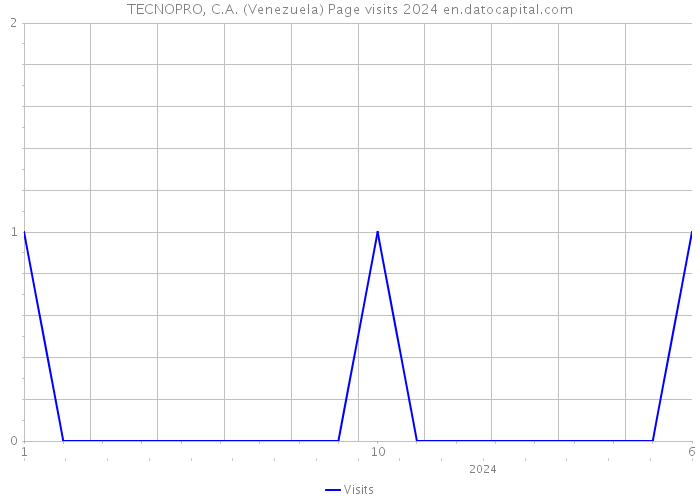 TECNOPRO, C.A. (Venezuela) Page visits 2024 