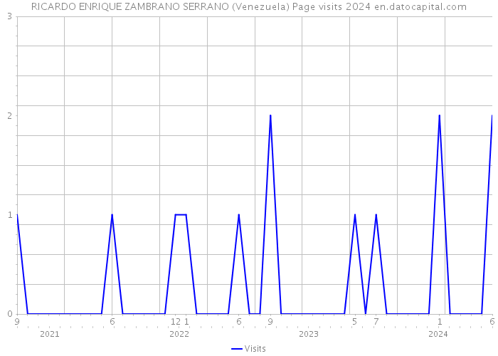 RICARDO ENRIQUE ZAMBRANO SERRANO (Venezuela) Page visits 2024 