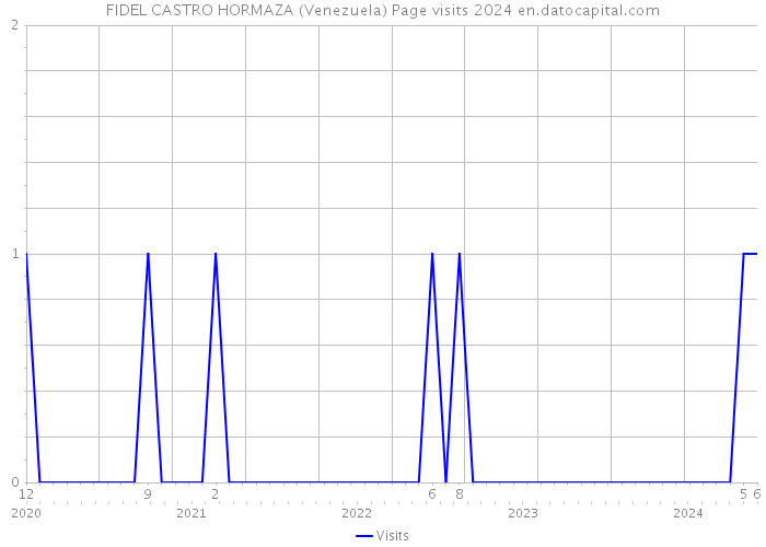 FIDEL CASTRO HORMAZA (Venezuela) Page visits 2024 