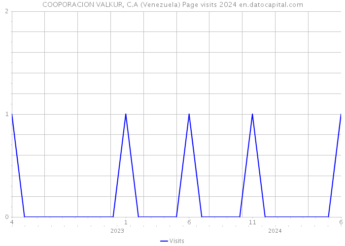 COOPORACION VALKUR, C.A (Venezuela) Page visits 2024 