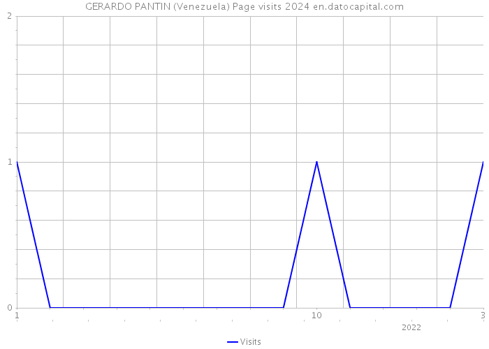 GERARDO PANTIN (Venezuela) Page visits 2024 
