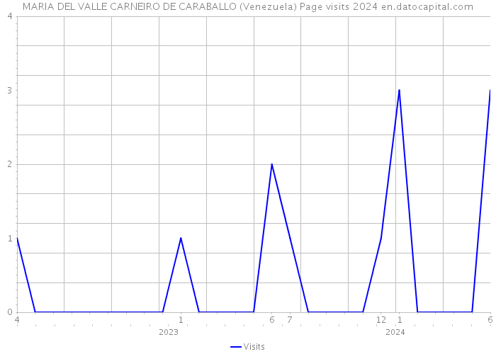 MARIA DEL VALLE CARNEIRO DE CARABALLO (Venezuela) Page visits 2024 