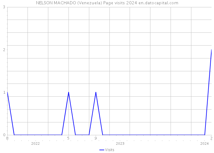 NELSON MACHADO (Venezuela) Page visits 2024 