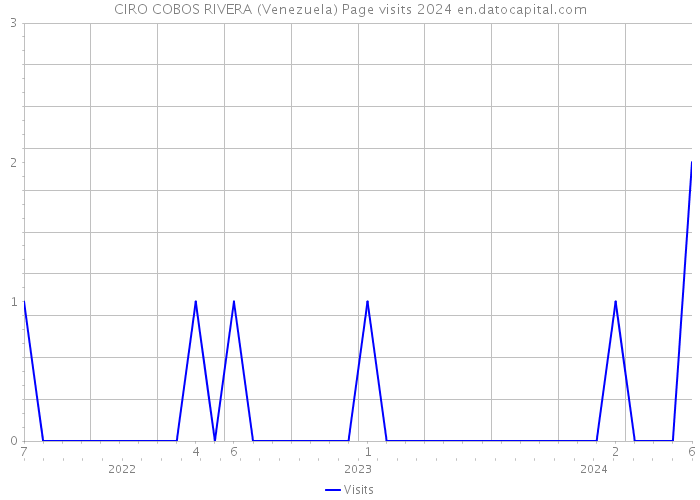 CIRO COBOS RIVERA (Venezuela) Page visits 2024 