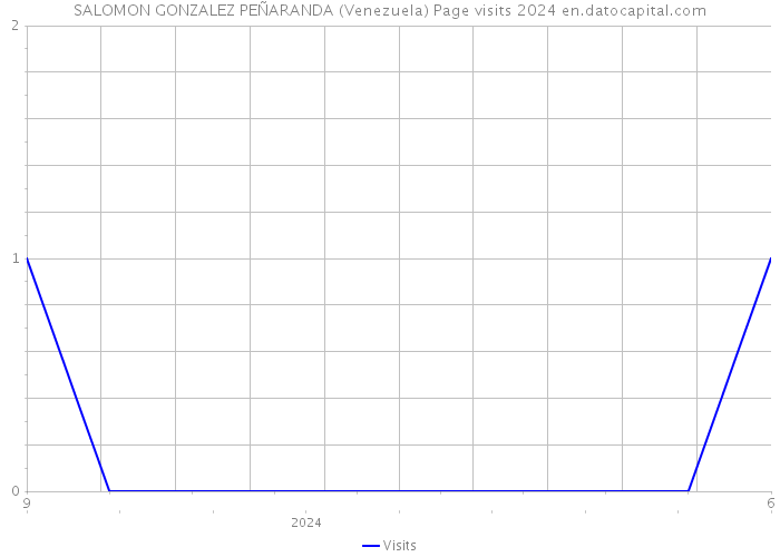 SALOMON GONZALEZ PEÑARANDA (Venezuela) Page visits 2024 