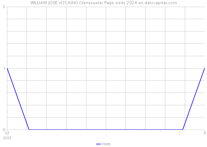 WILLIAM JOSE VIZCAINO (Venezuela) Page visits 2024 