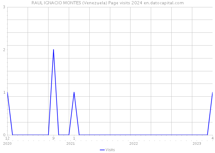 RAUL IGNACIO MONTES (Venezuela) Page visits 2024 