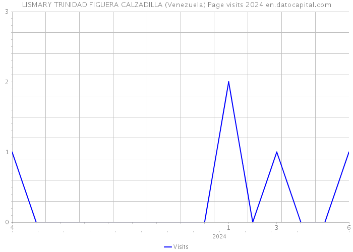LISMARY TRINIDAD FIGUERA CALZADILLA (Venezuela) Page visits 2024 