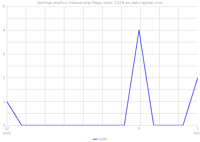 delimar muñoz (Venezuela) Page visits 2024 