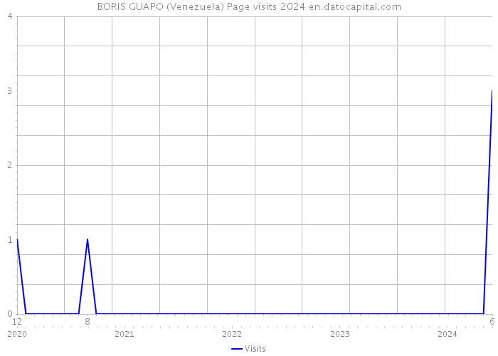 BORIS GUAPO (Venezuela) Page visits 2024 