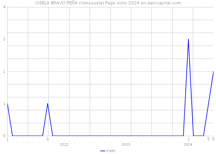 GISELA BRAVO PEÑA (Venezuela) Page visits 2024 