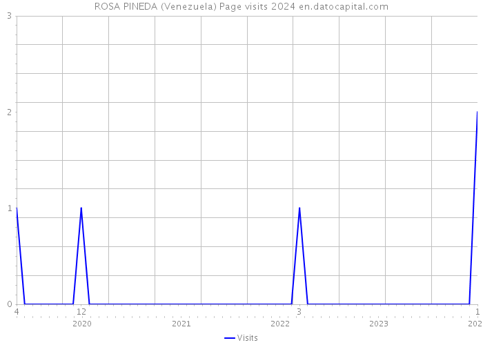 ROSA PINEDA (Venezuela) Page visits 2024 
