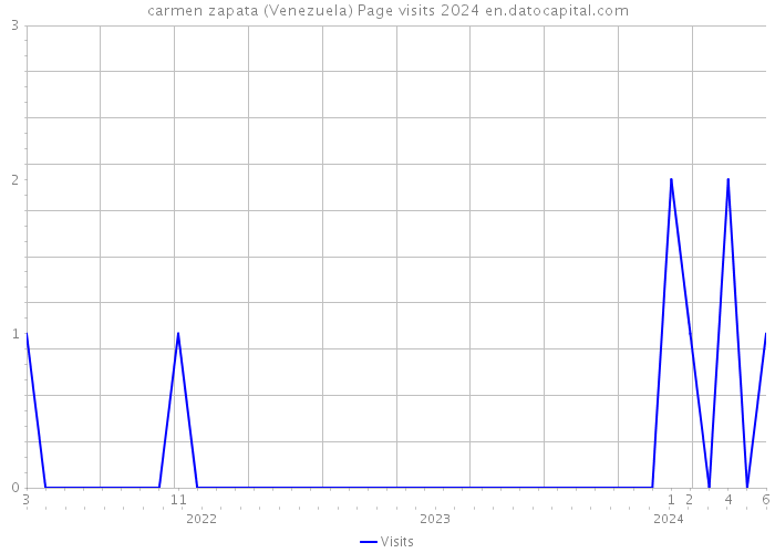carmen zapata (Venezuela) Page visits 2024 