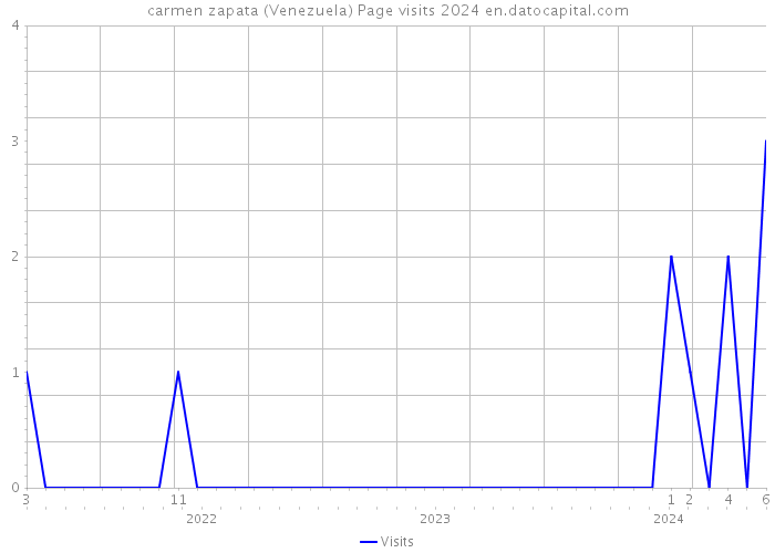carmen zapata (Venezuela) Page visits 2024 
