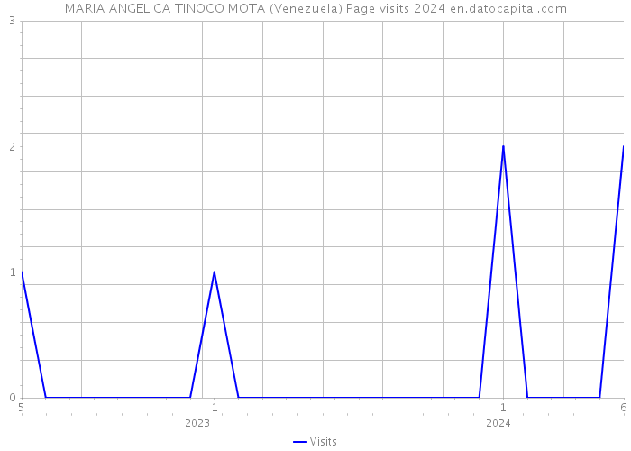MARIA ANGELICA TINOCO MOTA (Venezuela) Page visits 2024 