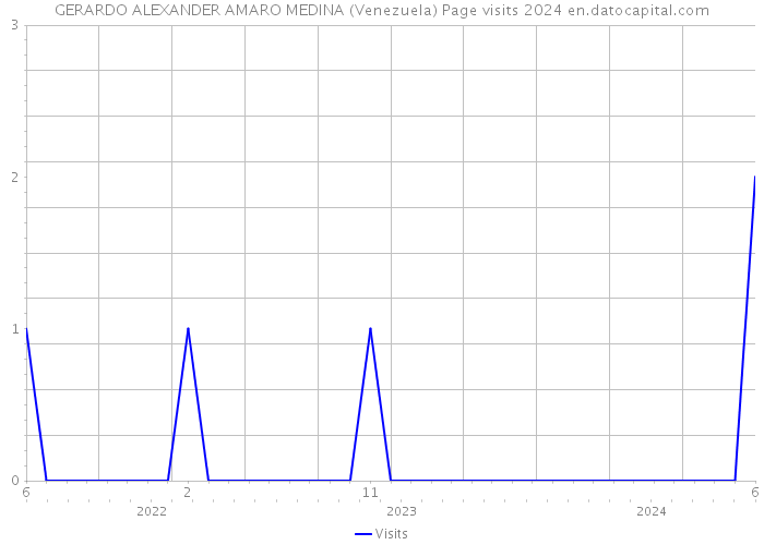 GERARDO ALEXANDER AMARO MEDINA (Venezuela) Page visits 2024 