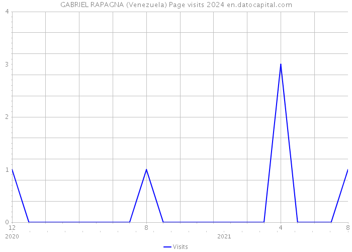 GABRIEL RAPAGNA (Venezuela) Page visits 2024 