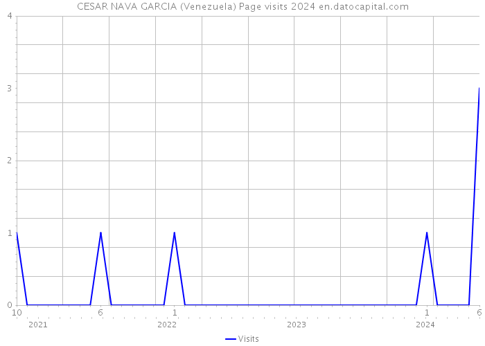 CESAR NAVA GARCIA (Venezuela) Page visits 2024 