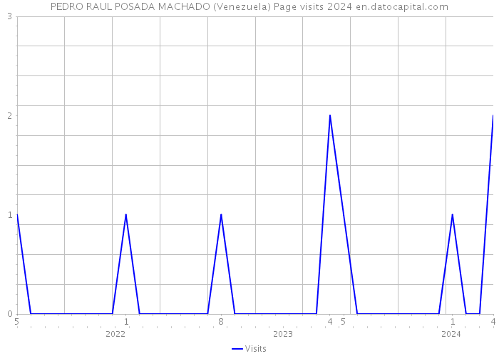 PEDRO RAUL POSADA MACHADO (Venezuela) Page visits 2024 